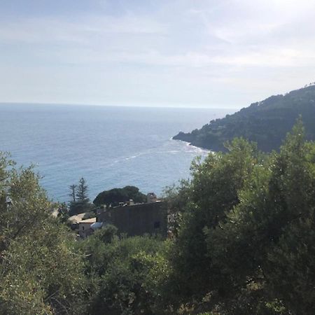 Casa Orchidea - Vista Mare Meravigliosa ボナッソーラ エクステリア 写真