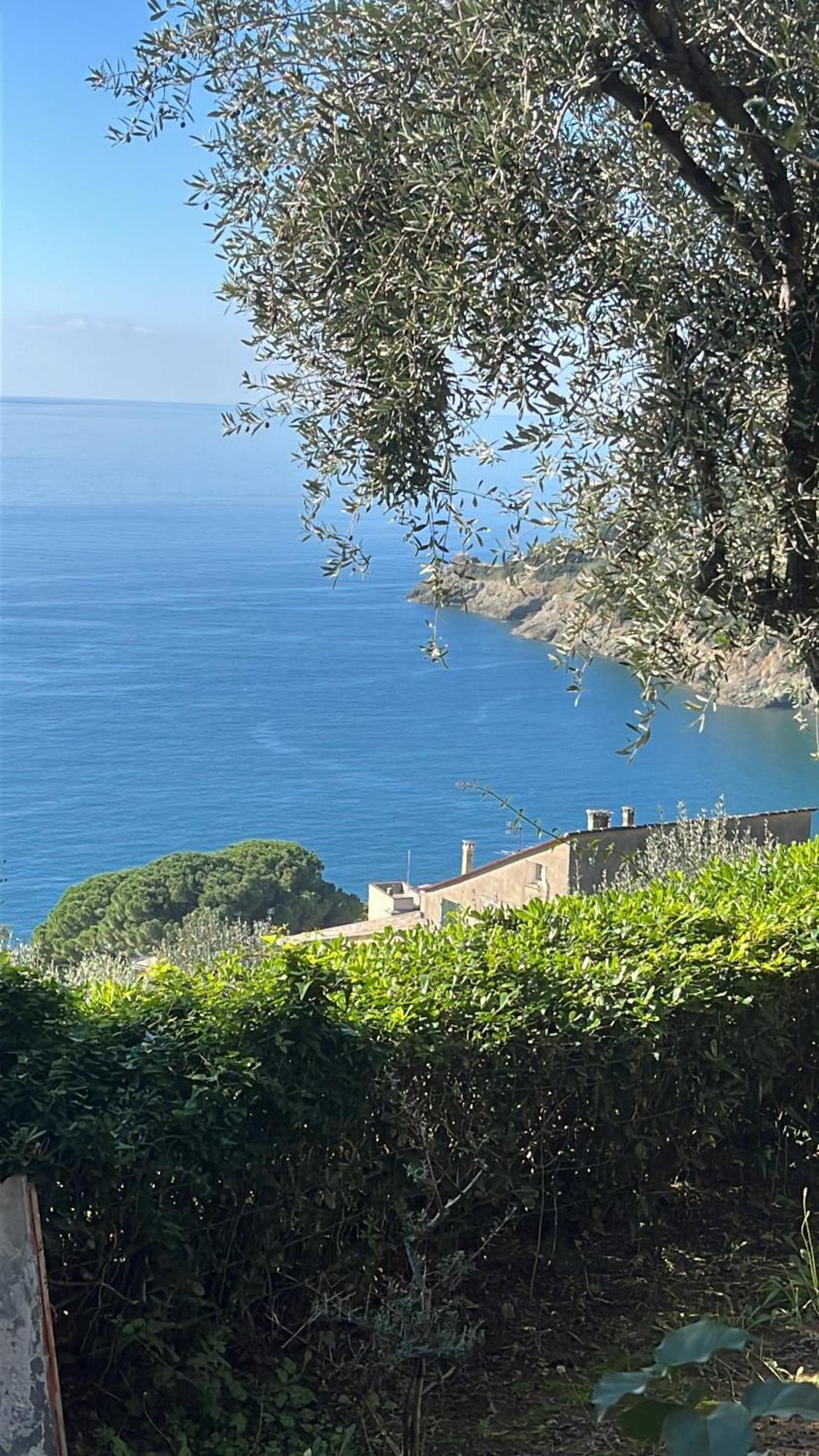 Casa Orchidea - Vista Mare Meravigliosa ボナッソーラ エクステリア 写真