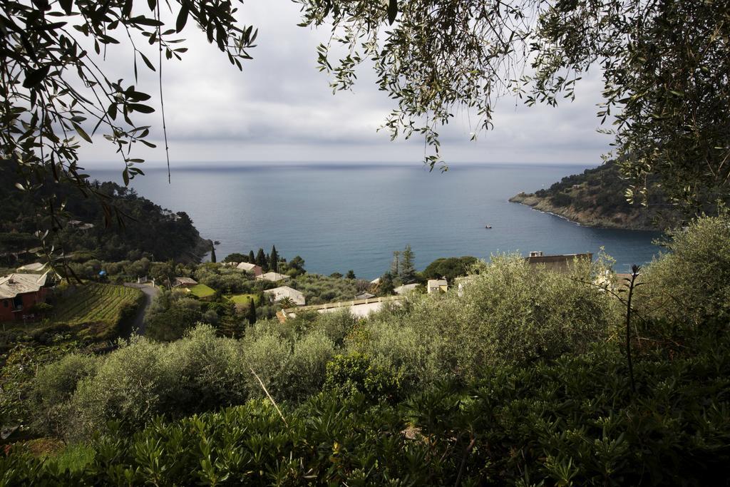 Casa Orchidea - Vista Mare Meravigliosa ボナッソーラ 部屋 写真